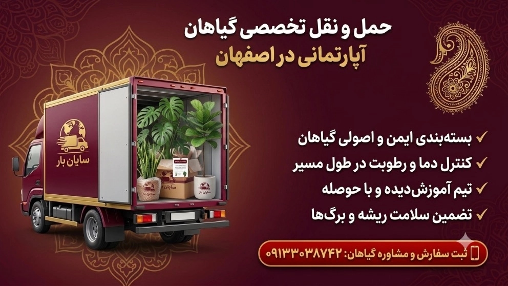 ترفندهای حمل ایمن گیاهان آپارتمانی اصفهان ترفندهای حمل ایمن گیاهان آپارتمانی اصفهان